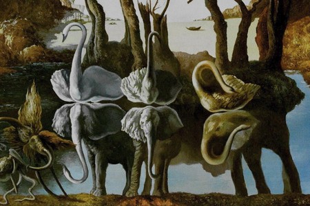 Detail of "Swans Reflecting
                  Elephants"